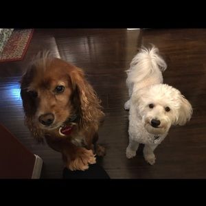 Meet your Posher, Jeshan